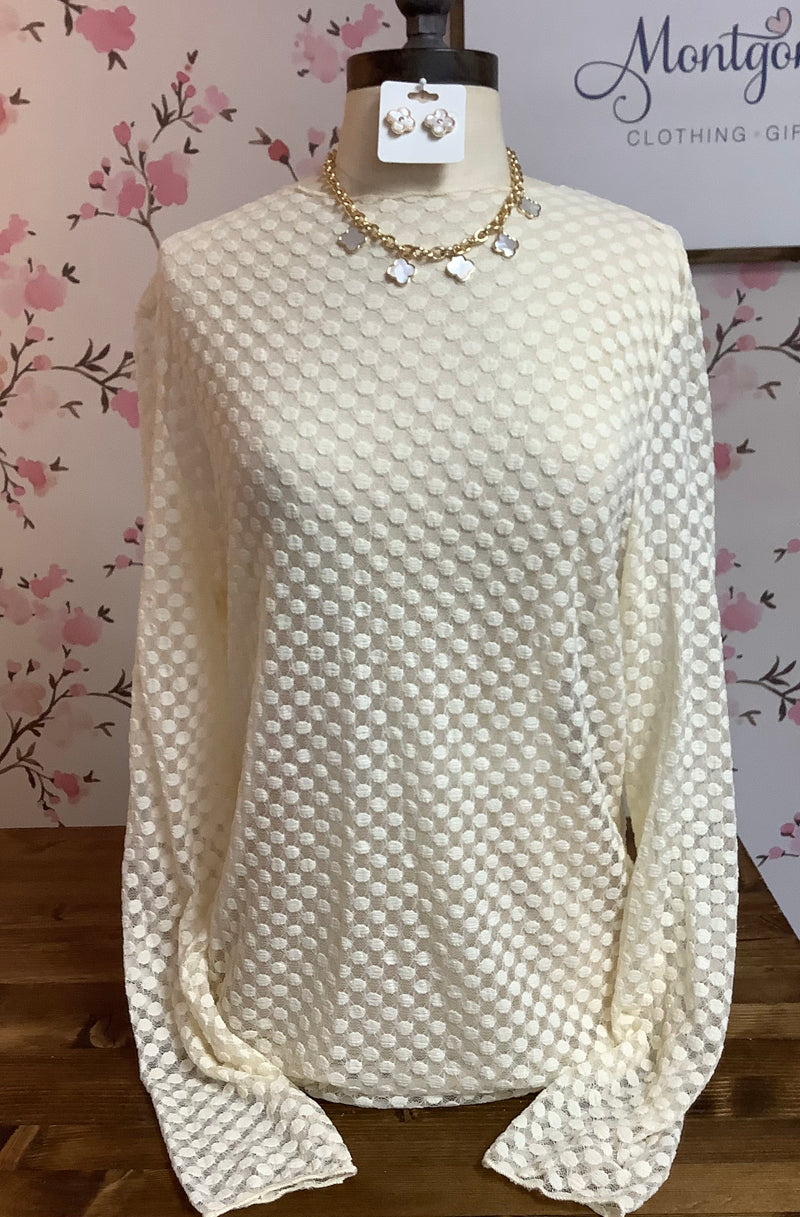 Long Sleeve Cream round Neck dot Lace Mesh Top Regular and Curvy